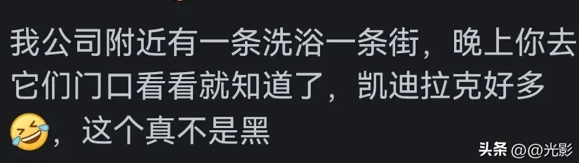 凯迪拉克是洗浴之王？是大数据分析还是车主自封？网友评论有你吗  -图3