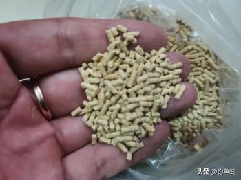 钓鲤鱼只能用玉米？老钓友分享5种饵料，都是野生鲤鱼的最爱  -图4