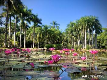 西双版纳，一个被大自然宠爱的地方，这三个必去景点一定不能错过  -图5