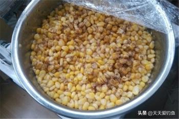 野钓大鲤鱼，自制饵料中的经典配方，如果钓不到，说明水中没鲤鱼  -图4