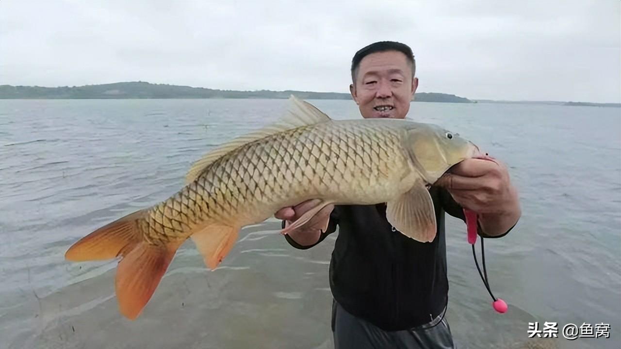 那么多钓鱼节目，为什么还没有能超越《游钓中国》的？  -图2