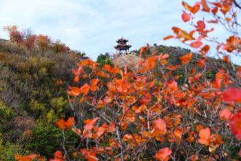 11月热门旅游目的地：这些地方正当时，游客期待值爆棚！  -图5