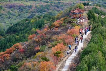 11月热门旅游目的地：这些地方正当时，游客期待值爆棚！  -图6